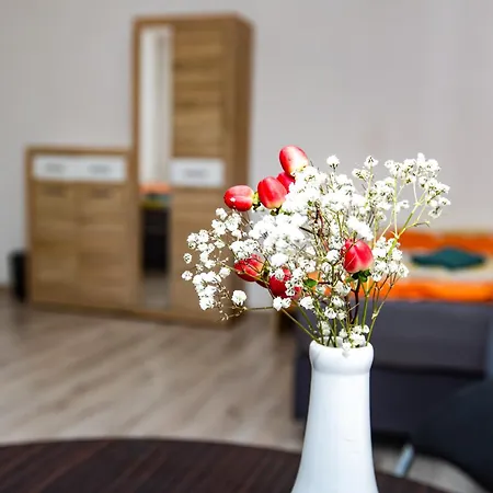 Ajka Guest house *